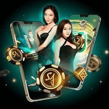 bets 7